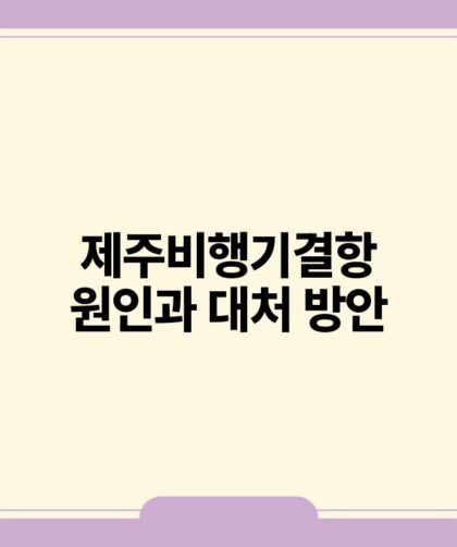 제주비행기결항 원인과 대처 방안.jpg