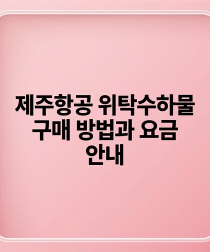 제주항공 위탁수하물 구매 방법과 요금 안내.jpg