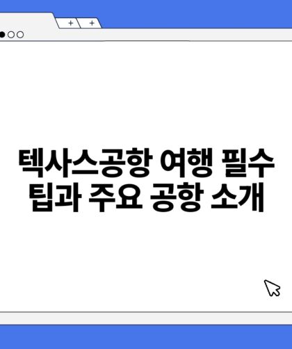 텍사스공항 여행 필수 팁과 주요 공항 소개.jpg