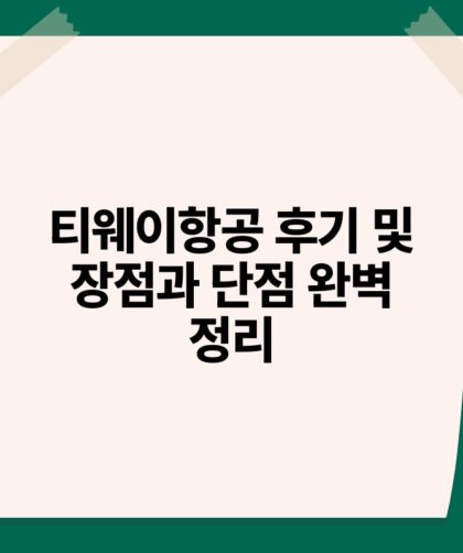 티웨이항공 후기 및 장점과 단점 완벽 정리.jpg