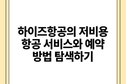 하이즈항공의 저비용 항공 서비스와 예약 방법 탐색하기.jpg